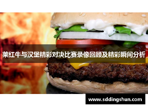 莱红牛与汉堡精彩对决比赛录像回顾及精彩瞬间分析