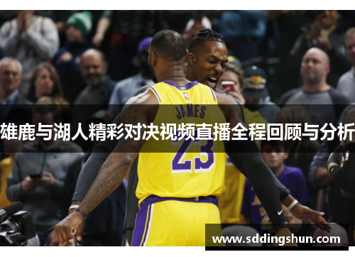 雄鹿与湖人精彩对决视频直播全程回顾与分析