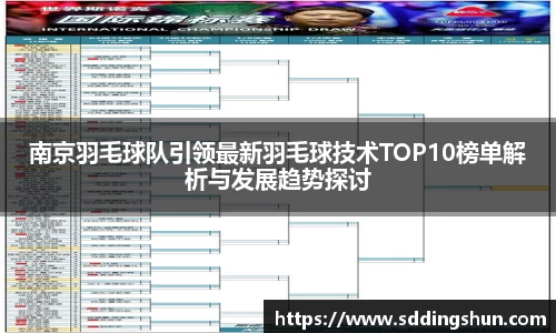 南京羽毛球队引领最新羽毛球技术TOP10榜单解析与发展趋势探讨