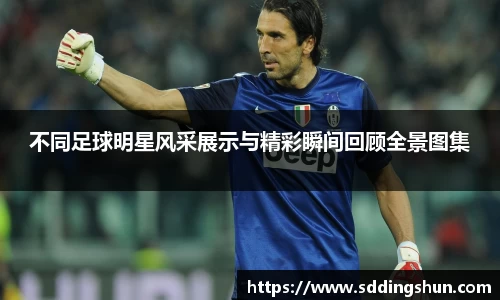 不同足球明星风采展示与精彩瞬间回顾全景图集